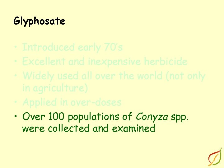 Glyphosate • Introduced early 70’s • Excellent and inexpensive herbicide • Widely used all