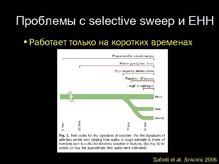 Проблемы с selective sweep и EHH • Работает только на коротких временах Sabeti et
