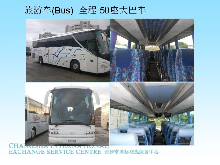 旅游车(Bus) 全程 50座大巴车 