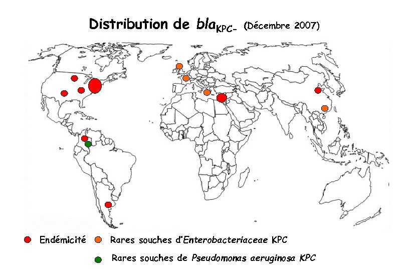 Distribution de bla. KPC- Endémicité (Décembre 2007) Rares souches d’Enterobacteriaceae KPC Rares souches de