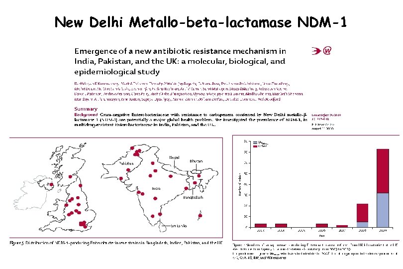 New Delhi Metallo-beta-lactamase NDM-1 