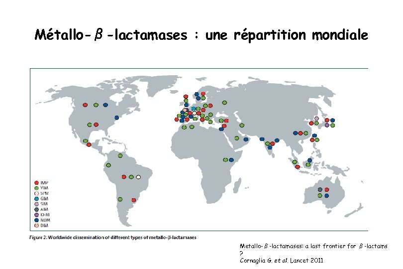 Métallo-β-lactamases : une répartition mondiale Metallo-β-lactamases: a last frontier for β-lactams ? Cornaglia G.