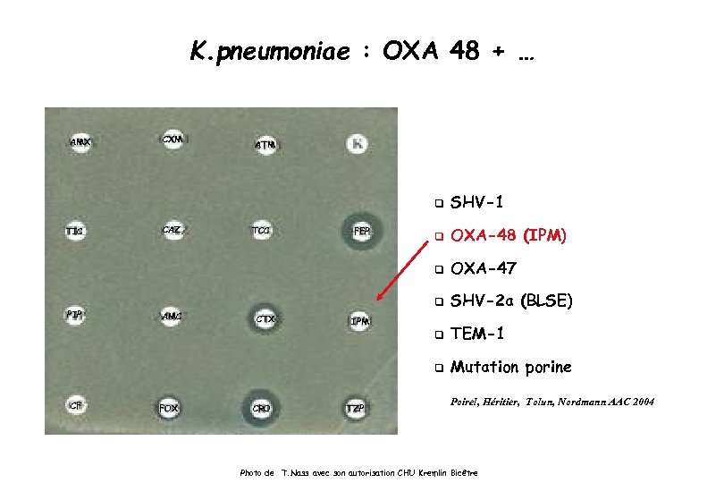 K. pneumoniae : OXA 48 + … AMX CXM ATM q CF FOX CTX