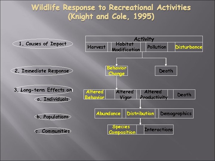 Wildlife Response to Recreational Activities (Knight and Cole, 1995) 1. Causes of Impact Activity