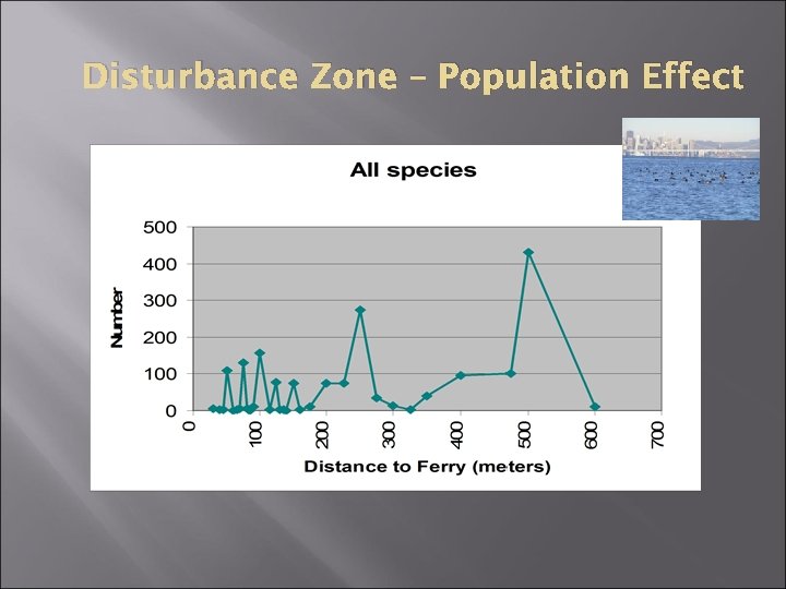 Disturbance Zone – Population Effect 