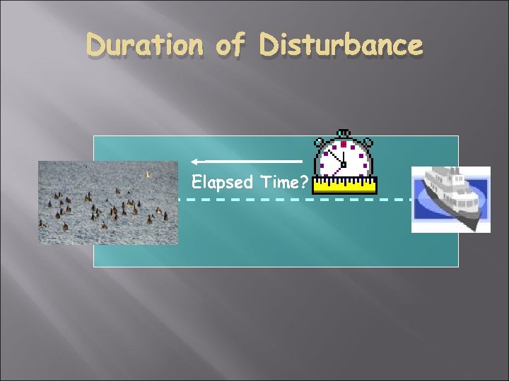Duration of Disturbance Elapsed Time? 