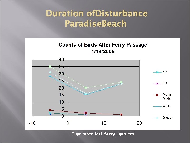 Duration of. Disturbance Paradise. Beach Time since last ferry, minutes 