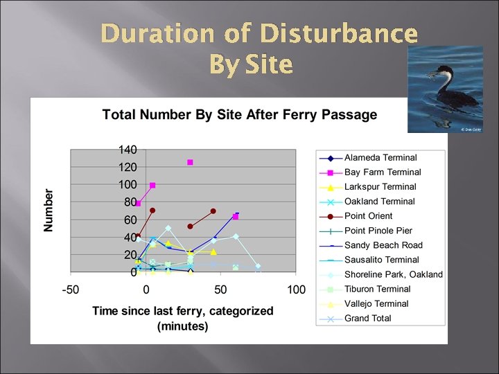 Duration of Disturbance By Site 