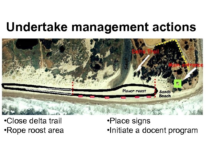 Undertake management actions • Close delta trail • Rope roost area • Place signs
