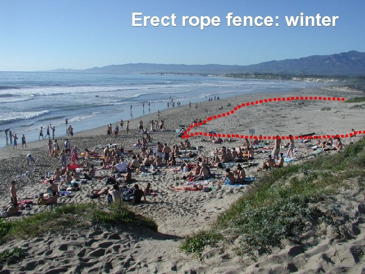 Erect rope fence: winter 