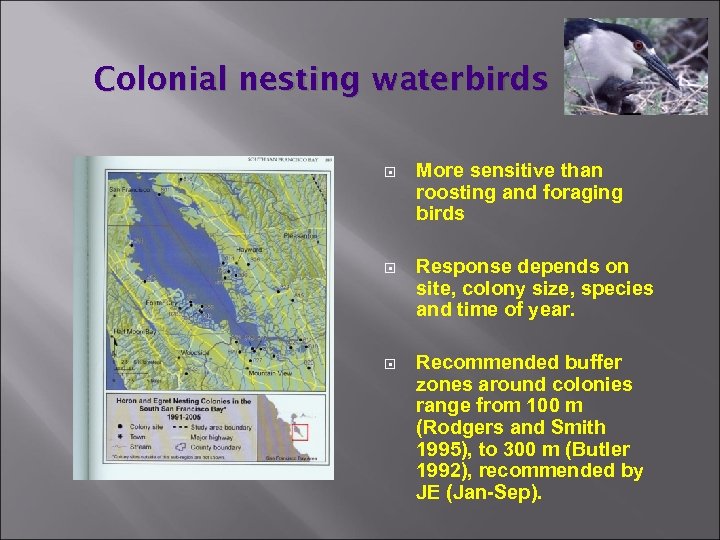 Colonial nesting waterbirds More sensitive than roosting and foraging birds Response depends on site,