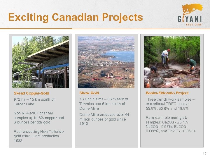 Exciting Canadian Projects Skead Copper-Gold Shaw Gold Baska-Eldorado Project 972 ha – 15 km