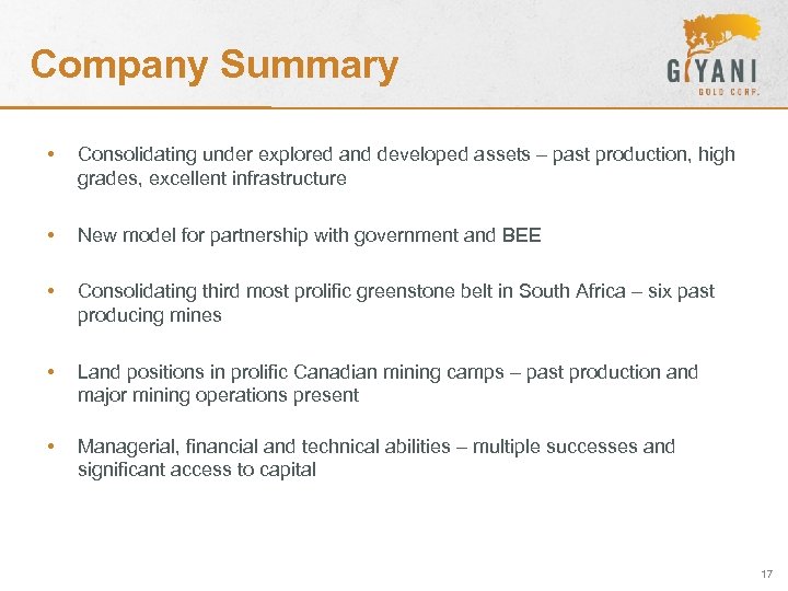 Company Summary • Consolidating under explored and developed assets – past production, high grades,