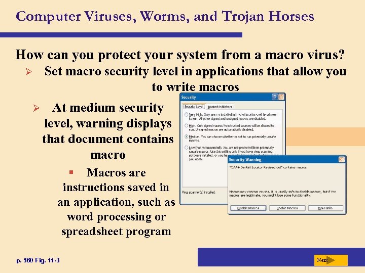 Computer Viruses, Worms, and Trojan Horses How can you protect your system from a