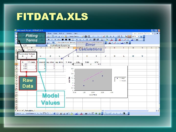 FITDATA. XLS Fitting Terms Error Calculations Raw Data Model Values 