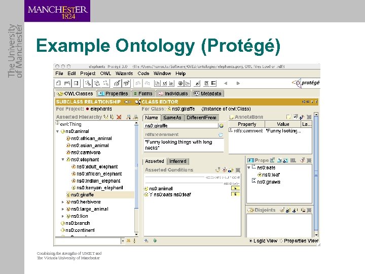 Example Ontology (Protégé) Combining the strengths of UMIST and The Victoria University of Manchester