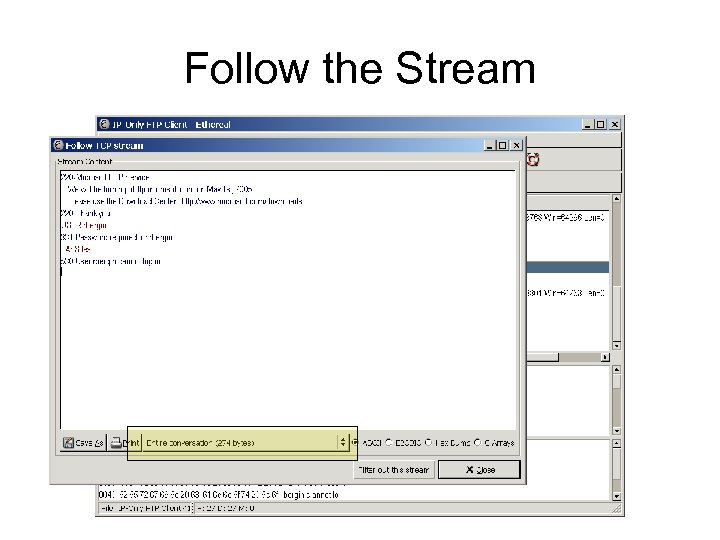 Follow the Stream 