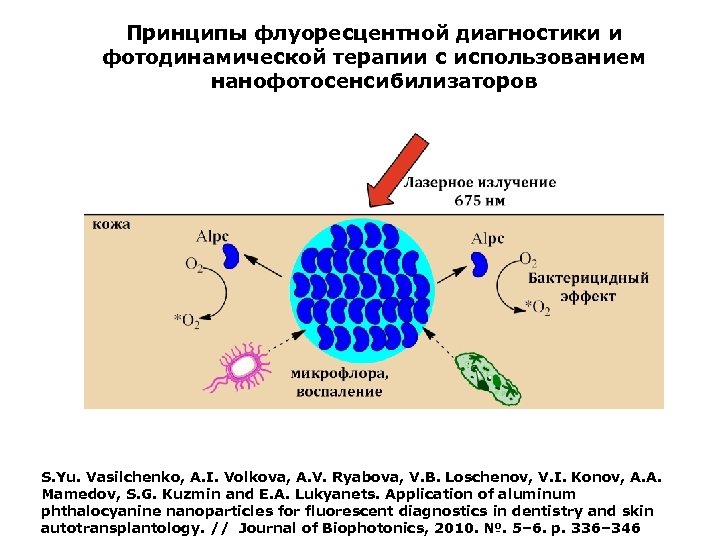 Принципы флуоресцентной диагностики и фотодинамической терапии с использованием нанофотосенсибилизаторов S. Yu. Vasilchenko, A. I.