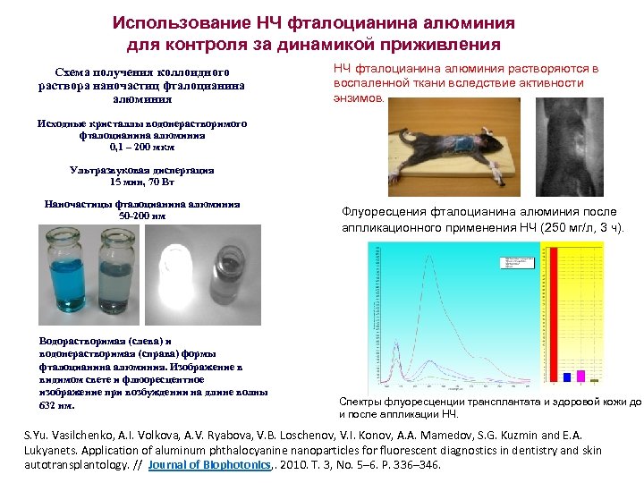 Использование НЧ фталоцианина алюминия для контроля за динамикой приживления Схема получения коллоидного раствора наночастиц
