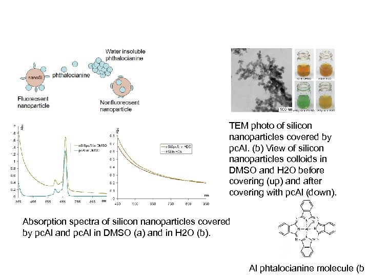 TEM photo of silicon nanoparticles covered by pc. Al. (b) View of silicon nanoparticles