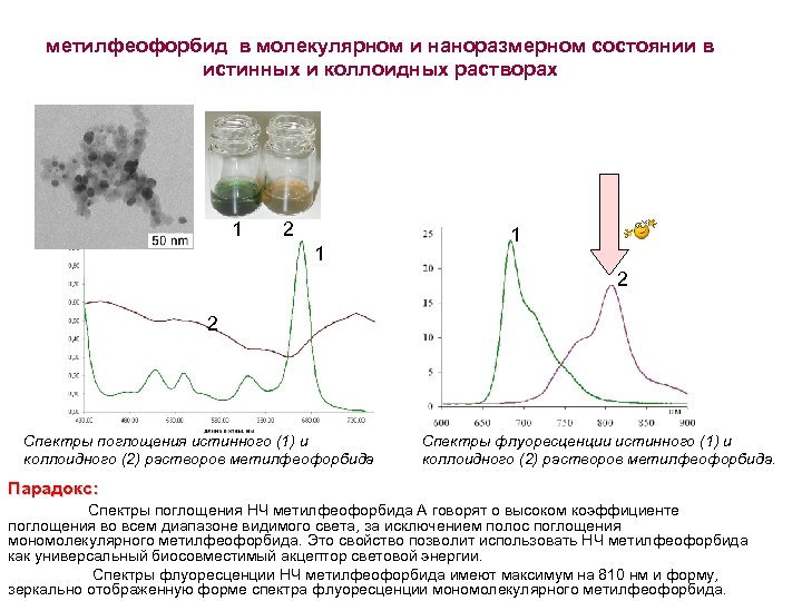 метилфеофорбид в молекулярном и наноразмерном состоянии в истинных и коллоидных растворах 1 2 1