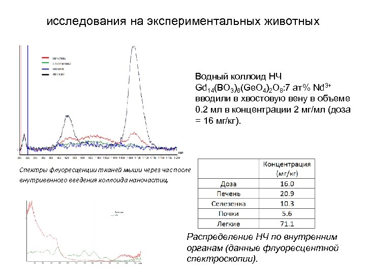 исследования на экспериментальных животных Водный коллоид НЧ Gd 14(BO 3)6(Ge. O 4)2 O 8: