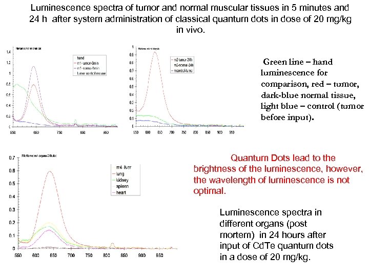 Luminescence spectra of tumor and normal muscular tissues in 5 minutes and 24 h