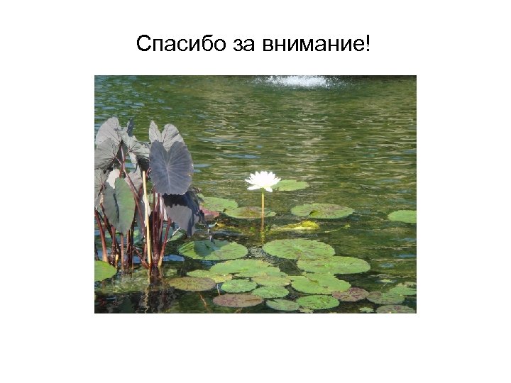 Спасибо за внимание! 