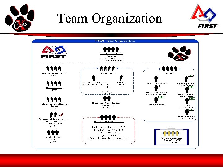 Team Organization 