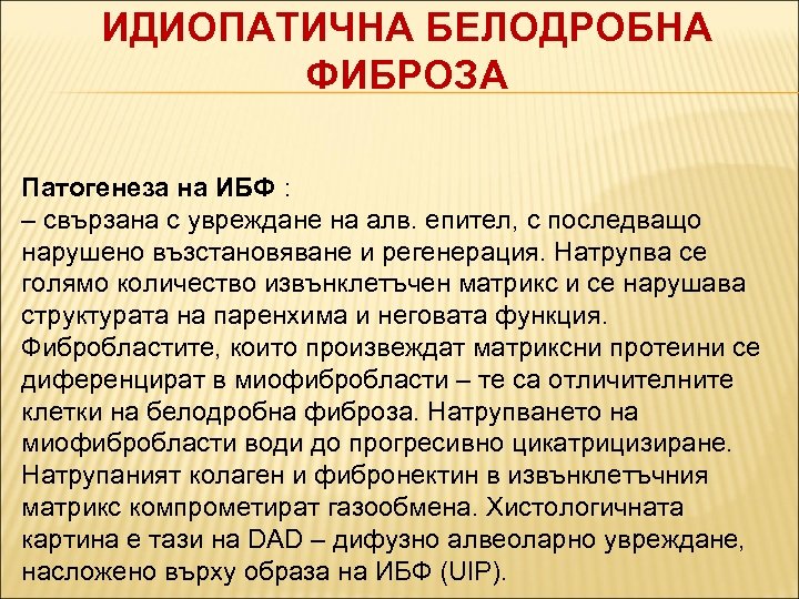 ИДИОПАТИЧНА БЕЛОДРОБНА ФИБРОЗА Патогенеза на ИБФ : – свързана с увреждане на алв. епител,