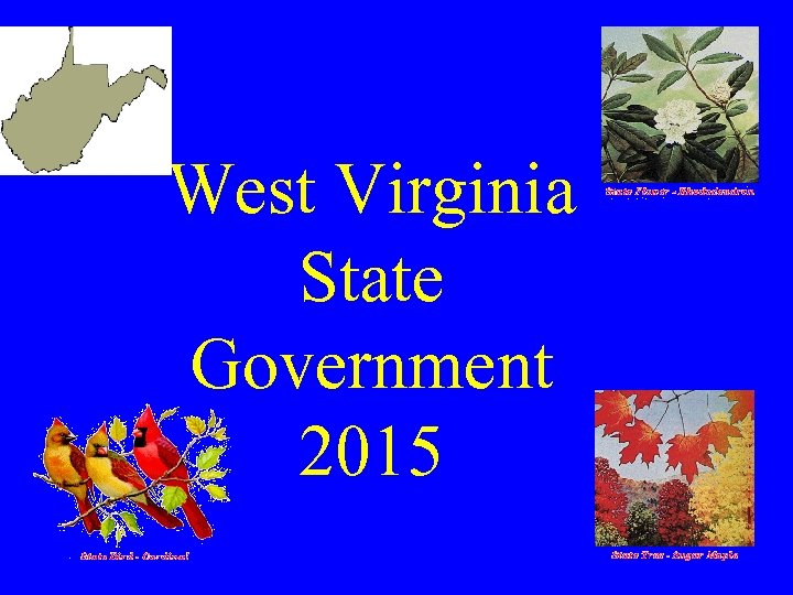 West Virginia State Government 2015 