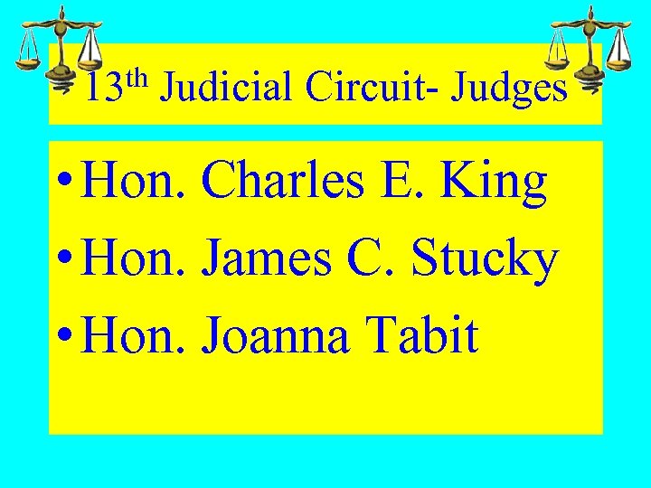13 th Judicial Circuit- Judges • Hon. Charles E. King • Hon. James C.