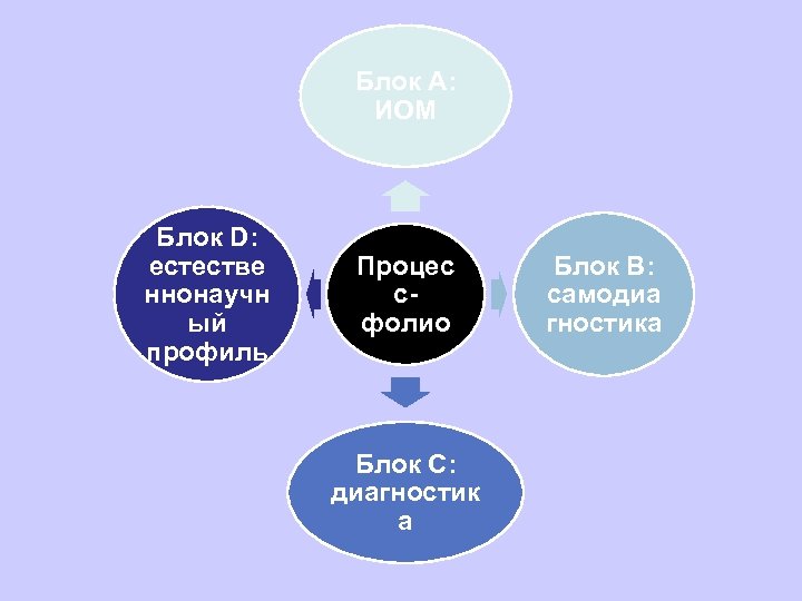 Блок А: ИОМ Блок D: естестве ннонаучн ый профиль Процес сфолио Блок С: диагностик