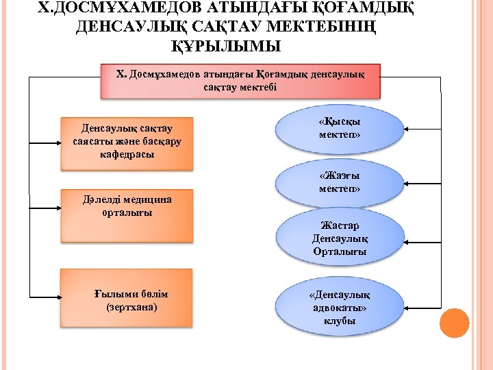 Х. ДОСМҰХАМЕДОВ АТЫНДАҒЫ ҚОҒАМДЫҚ ДЕНСАУЛЫҚ САҚТАУ МЕКТЕБІНІҢ ҚҰРЫЛЫМЫ Х. Досмұхамедов атындағы Қоғамдық денсаулық сақтау