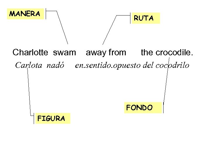 MANERA RUTA Charlotte swam away from the crocodile. Carlota nadó en. sentido. opuesto del