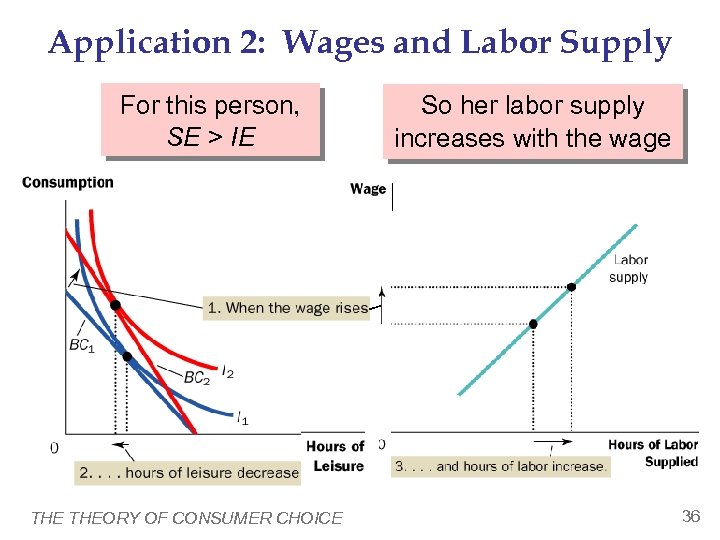 Application 2: Wages and Labor Supply For this person, SE > IE THEORY OF