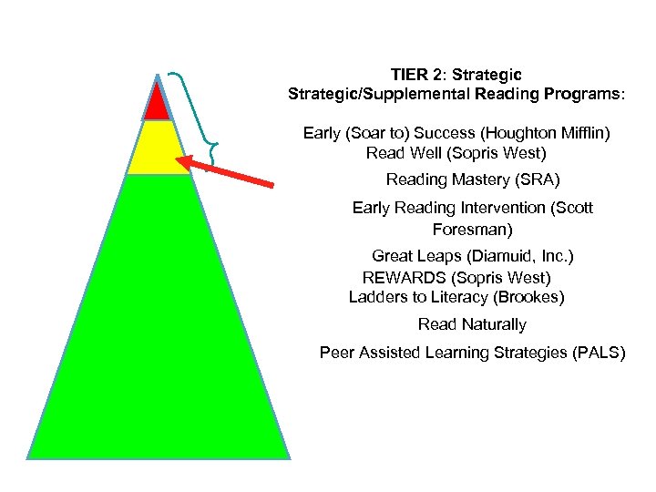 TIER 2: Strategic/Supplemental Reading Programs: Early (Soar to) Success (Houghton Mifflin) Read Well (Sopris