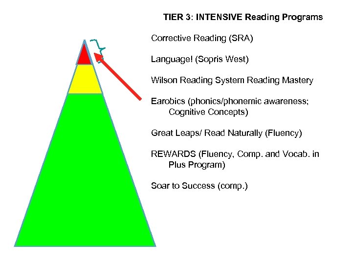 TIER 3: INTENSIVE Reading Programs Corrective Reading (SRA) Language! (Sopris West) Wilson Reading System