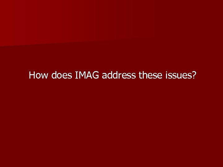 How does IMAG address these issues? 