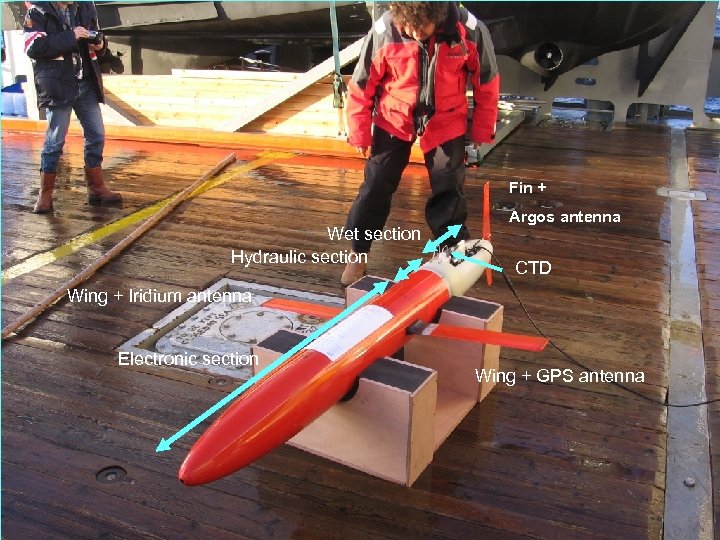 Fin + Wet section Hydraulic section Argos antenna CTD Wing + Iridium antenna Electronic