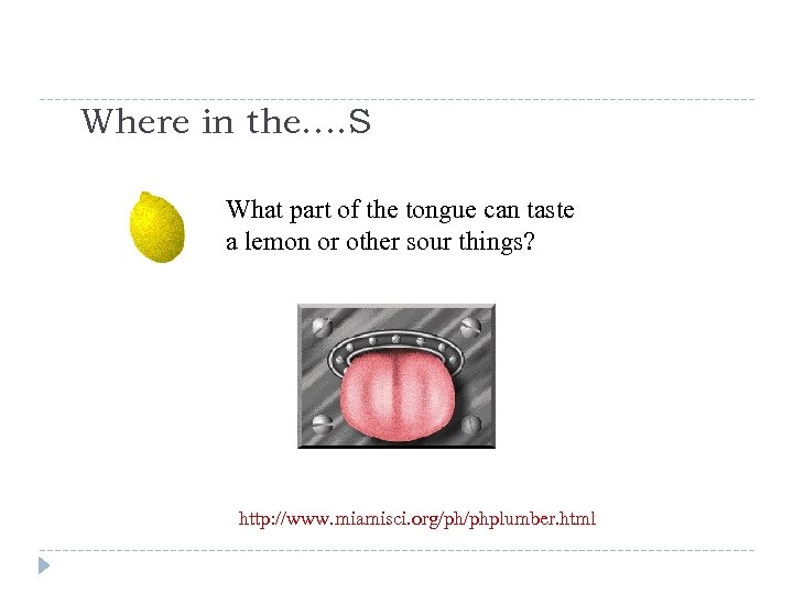 Where in the…. S What part of the tongue can taste a lemon or