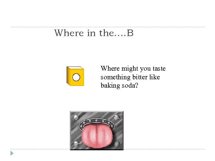 Where in the…. B Where might you taste something bitter like baking soda? 