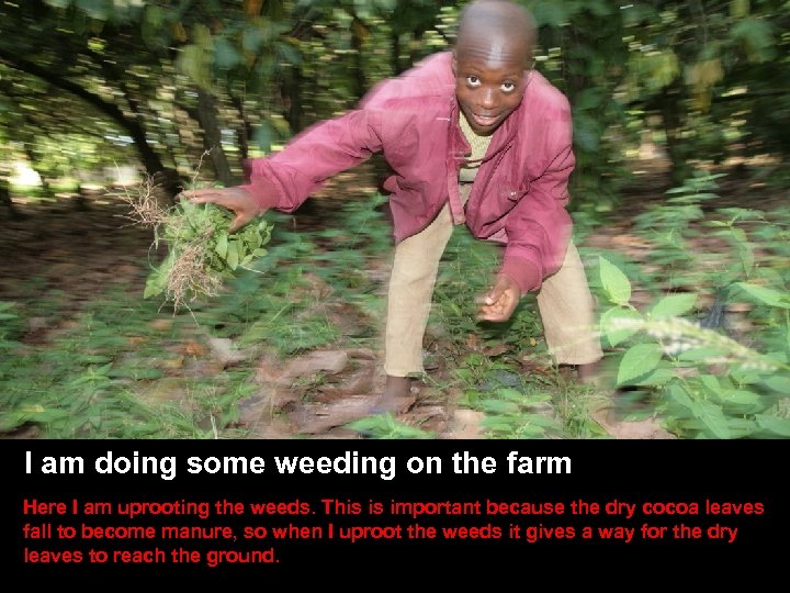 SLIDE TITLE HERE • Other stuff here I am doing some weeding on the