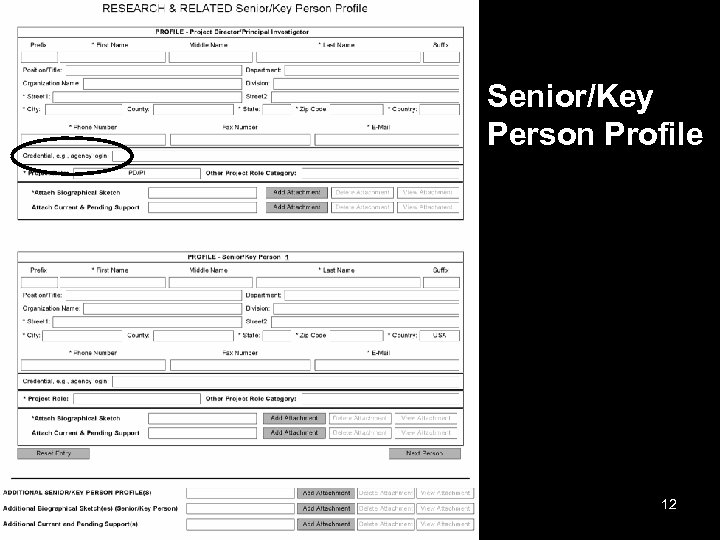 Senior/Key Person Profile 12 