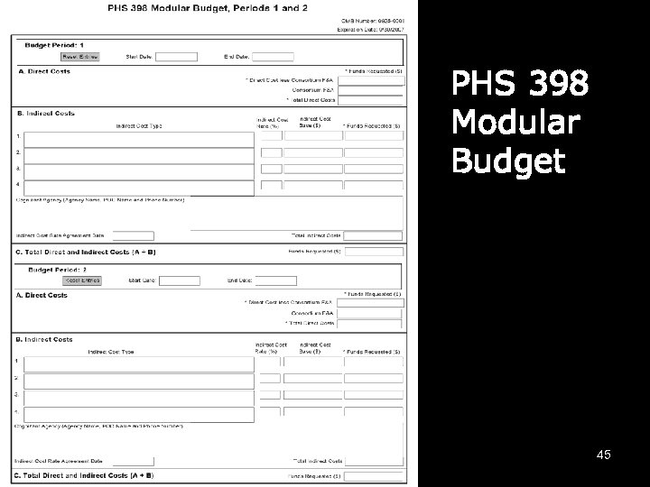 PHS 398 Modular Budget 45 