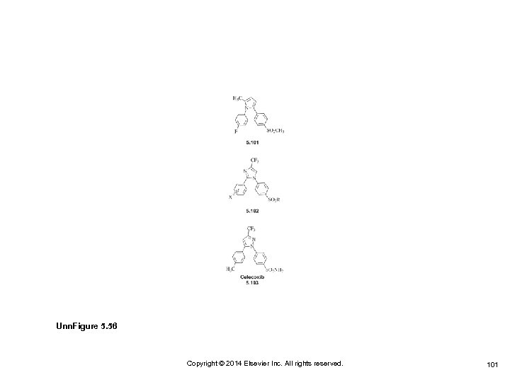 Unn. Figure 5. 56 Copyright © 2014 Elsevier Inc. All rights reserved. 101 