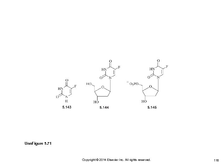 Unn. Figure 5. 71 Copyright © 2014 Elsevier Inc. All rights reserved. 116 