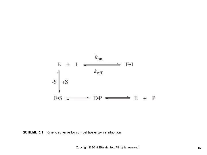 SCHEME 5. 1 Kinetic scheme for competitive enzyme inhibition Copyright © 2014 Elsevier Inc. All