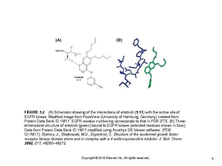 FIGURE 5. 2 (A) Schematic drawing of the interactions of erlotinib (5. 13) with the