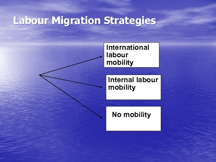 Labour Migration Strategies International labour mobility Internal labour mobility No mobility 